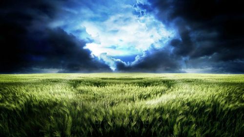 Field under storm HD Wallpaper