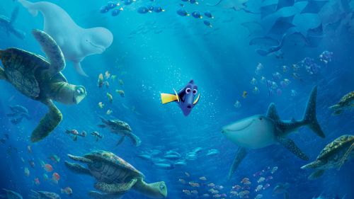 Finding Dory Hd Wallpaper for Desktop and Mobiles