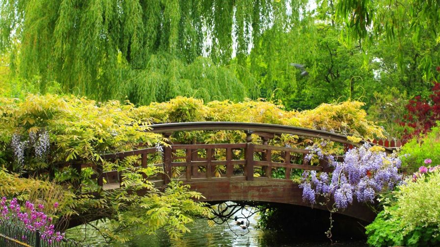 Flower Willow Park Bridge HD Wallpaper