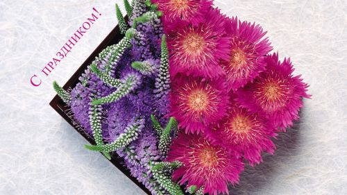 Flowers box HD Wallpaper