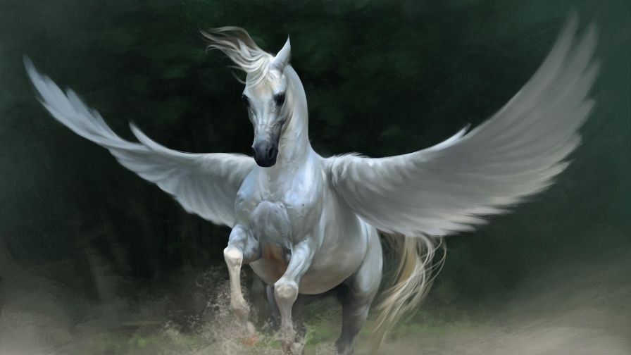 Flying Pegasus HD Wallpaper