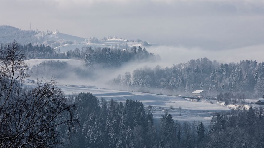 Fog over Switzerland HD Wallpaper