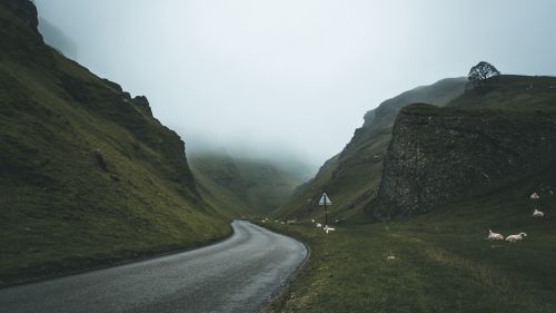 Foggy road turn HD Wallpaper