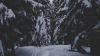 Forest passage full of snow HD Wallpaper
