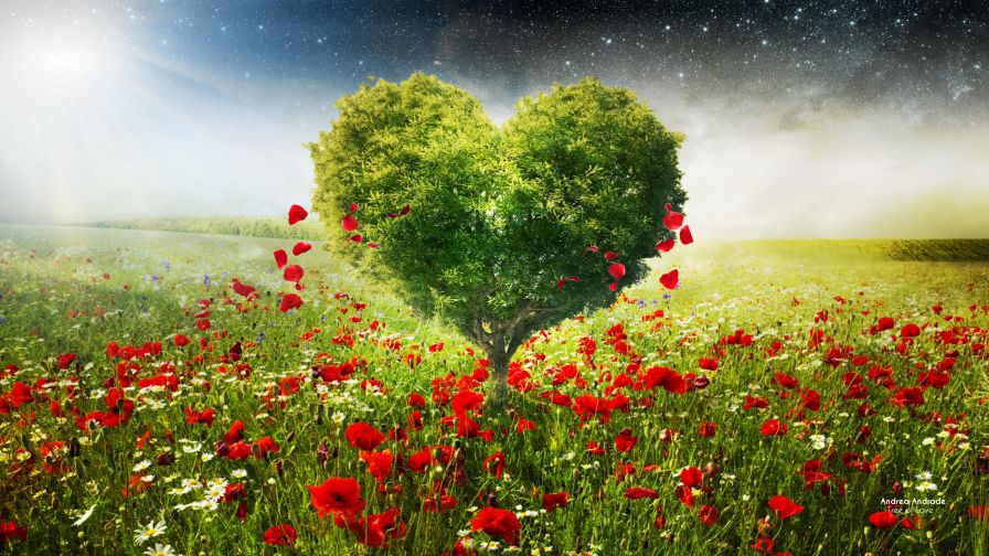 Free Green Heart Tree Poppies Hd Wallpaper for Desktop and Mobiles