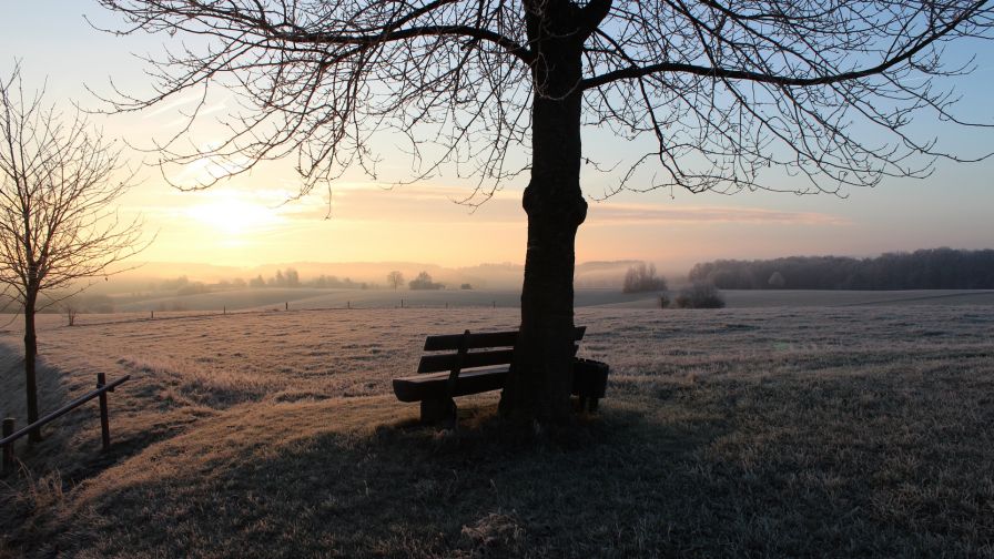 Frosty bench HD Wallpaper