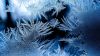Frosty glass pattern HD Wallpaper