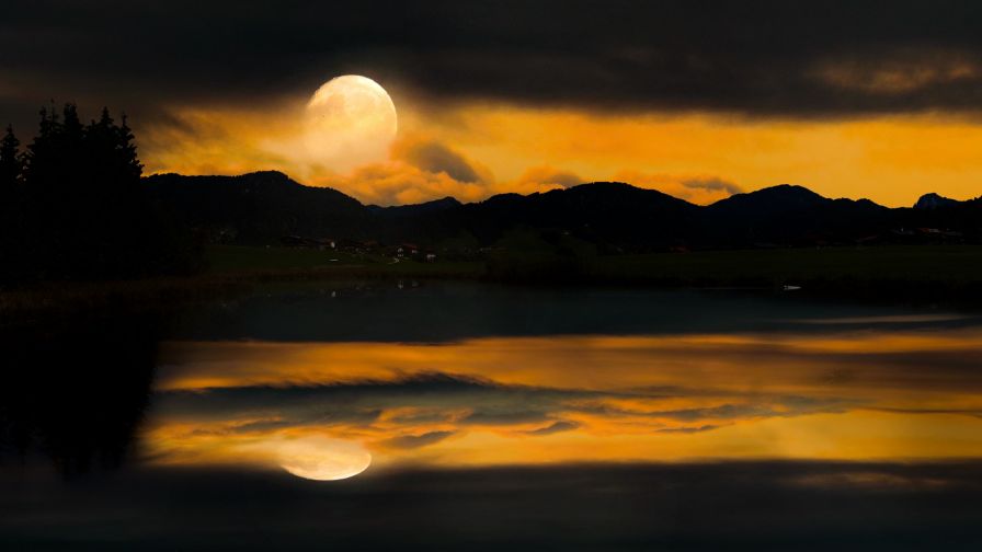 Full moon night HD Wallpaper