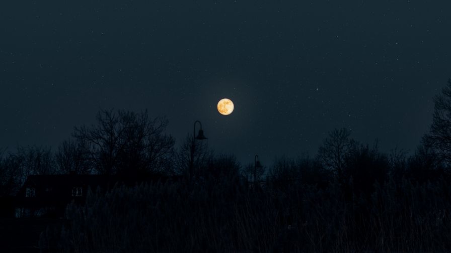 Full moon on a starry sky HD Wallpaper