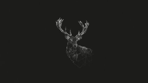 Funky Polygon Art Stag-Deer HD Wallpaper