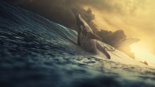 Giant whale at the ocean HD Wallpaper