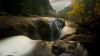 Gifford Pinchot National Forest HD Wallpaper