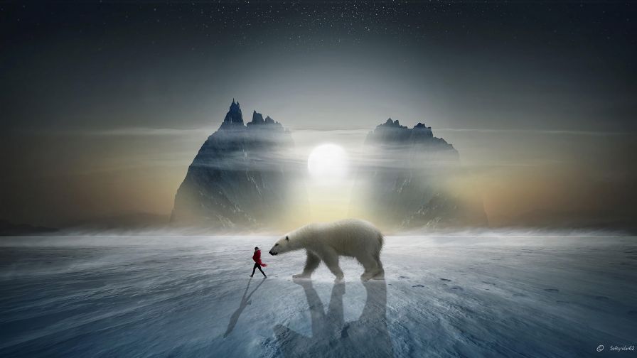 Girl next to a bear HD Wallpaper