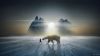 Girl next to a bear HD Wallpaper