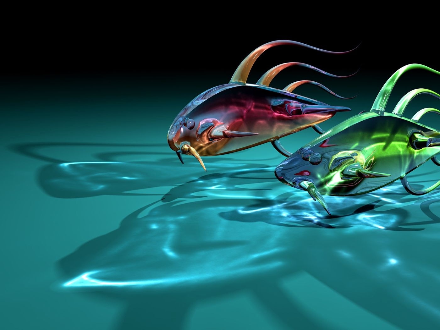 Glassy fishes HD Wallpaper