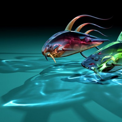 Glassy fishes HD Wallpaper