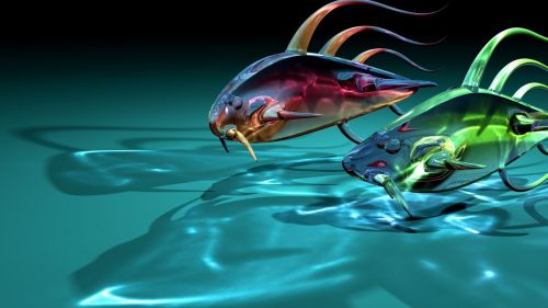 Glassy fishes HD Wallpaper