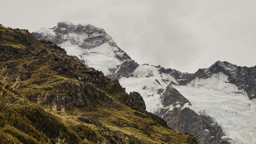 Grass on a snowy mountain HD Wallpaper