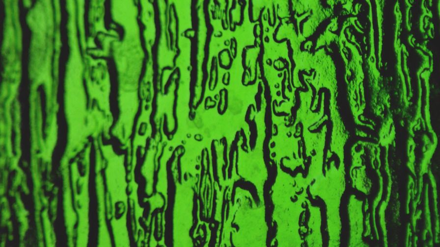 Green embosed surface HD Wallpaper