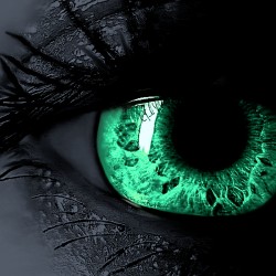 Green Eyes Beautiful Hd Wallpaper for Desktop and Mobiles