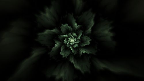 Green fractal pattern HD Wallpaper