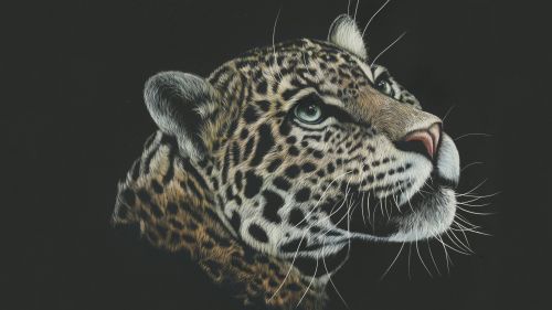 Grey Leopard Artwork Wallpaper in HD