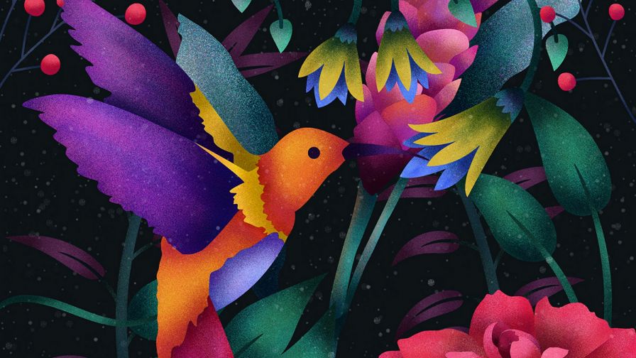 Hummingbird over flowers HD Wallpaper