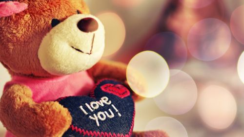 I Love You Teddy Bear Hd Wallpaper for Desktop and Mobiles