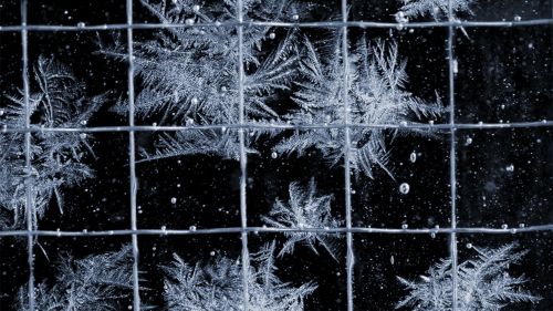 Ice Art HD Wallpaper
