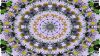 Kaleidoscope of Daisies HD Wallpaper
