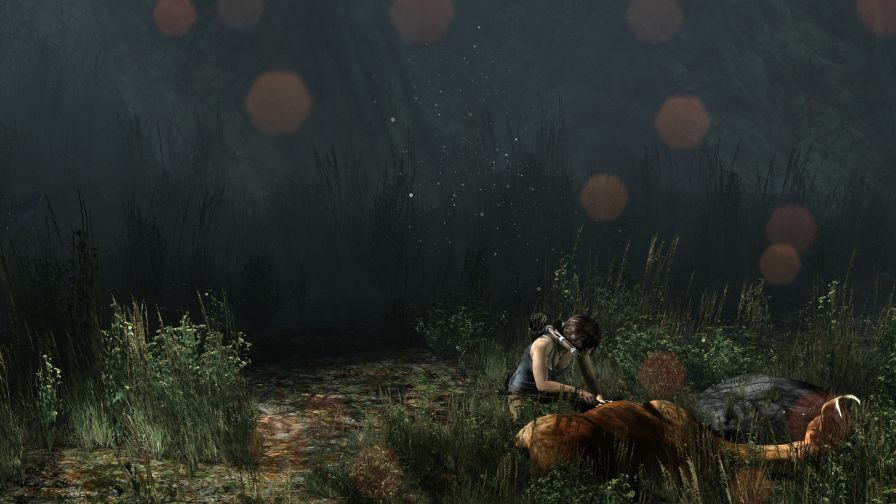 Lara Croft: Tomb Raider HD Wallpaper
