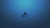Linux brand logo HD Wallpaper