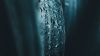 Liquid drops HD Wallpaper