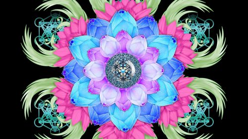 Lotus flower patterns HD Wallpaper