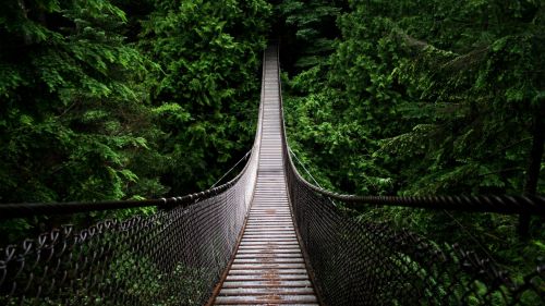 Lynn Canyon Park HD Wallpaper