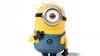 Minion HD Wallpaper