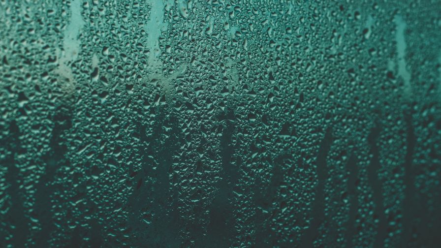 Moisture over a glass surface HD Wallpaper
