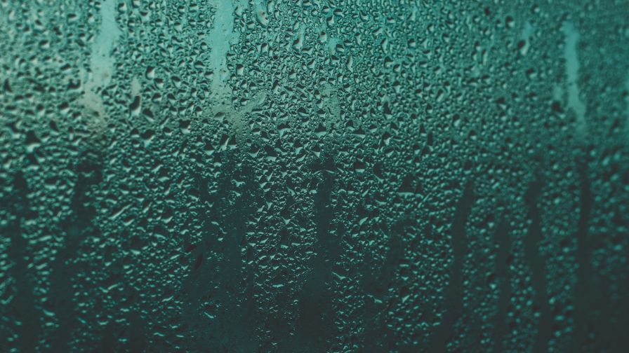 Moisture over a glass surface HD Wallpaper