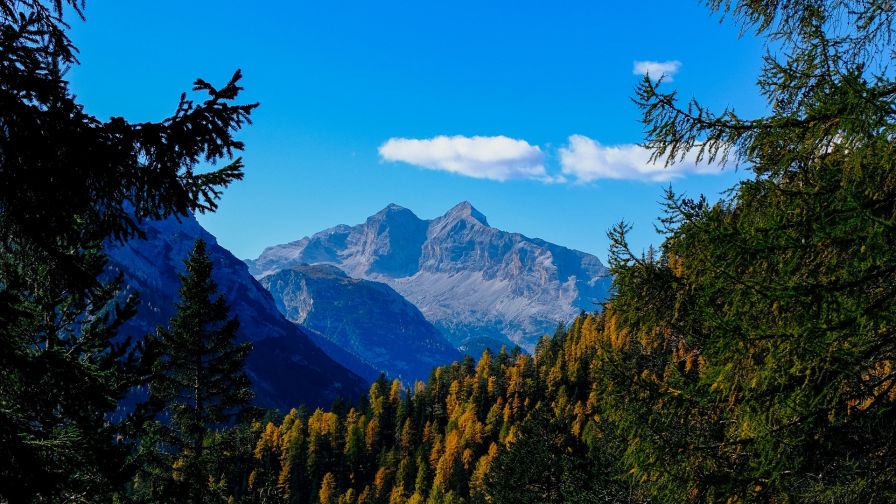 Mountains covered in trees HD Wallpaper - Wallpapers.net