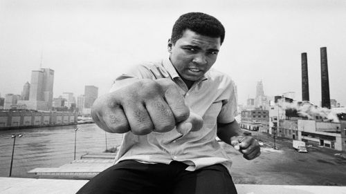 Muhammed Ali Wallpaper for Desktop and Mobiles