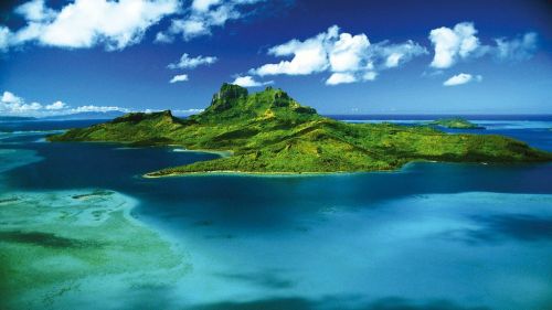 New Zealand's Sub-Tropical Paradise HD Wallpaper