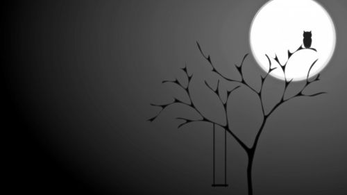 Night Play HD Wallpaper