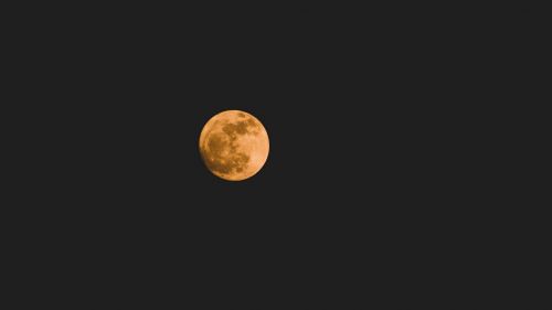 Night under a full moon HD Wallpaper