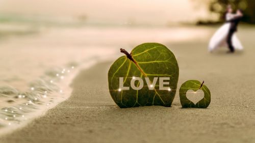 Ocean Leaf Love Wallpaper for Desktop and Mobiles