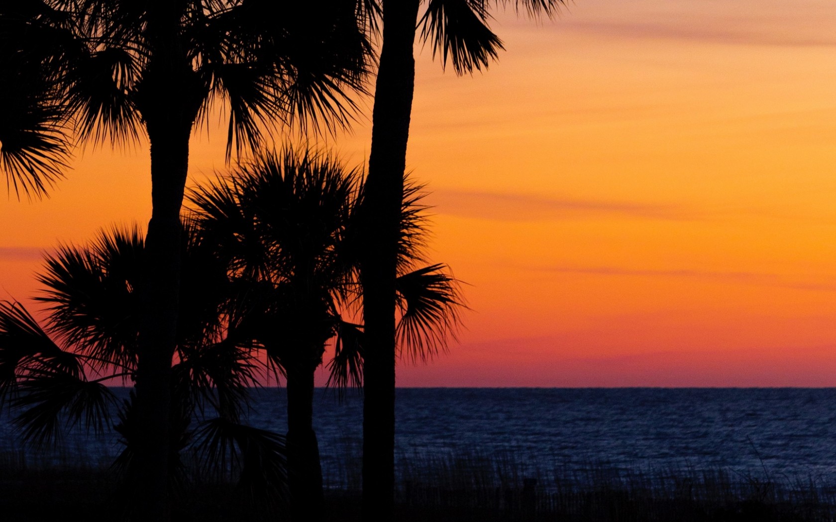 Palm trees at the sunset HD Wallpaper