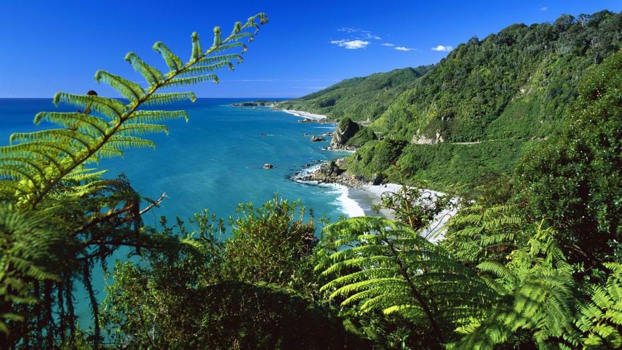 Paparoa National Park HD Wallpaper