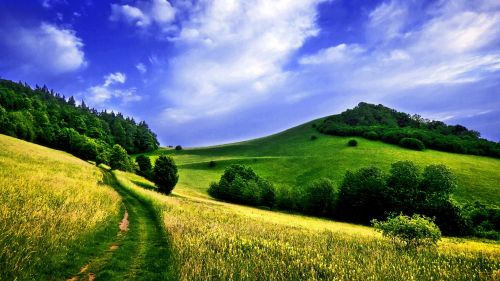 Path Through the Countryside