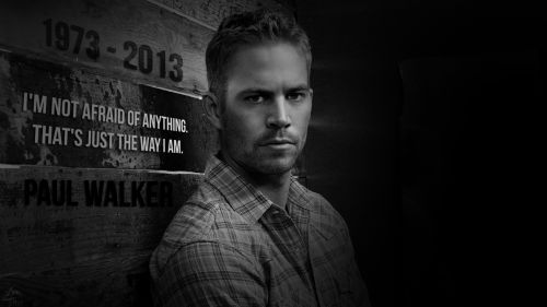 Paul Walker Hd Wallpaper for Desktop and Mobiles