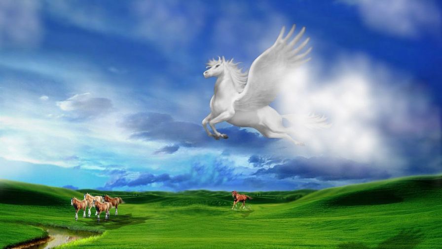 Pretty pegasus HD Wallpaper