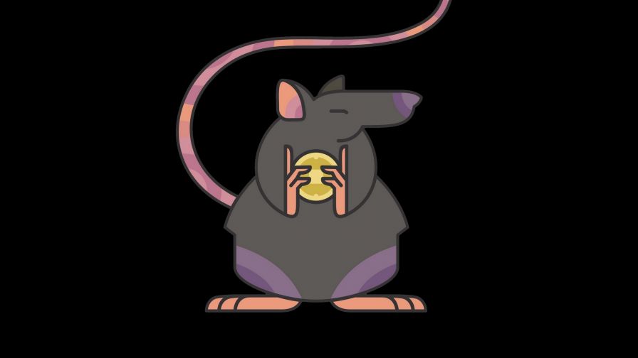 Rat with Coins HD Wallpaper